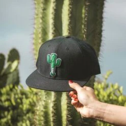 Cactus Bat Cap Black-7080155676742 9 Cactus Bat Cap Black-7080155676742 -Baseballism 0X1A3929