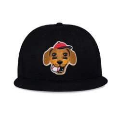 Dachshund Cap (Bow Wow Collection)-4755837026374