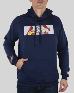 Outfield Fence Hoodie - St. Louis Cardinals-6709887336518
